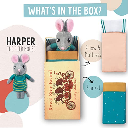 Foothill Toy Co. Animals in Boxes 'Harper The Field Mouse' Playset with Stuffed Animal in a