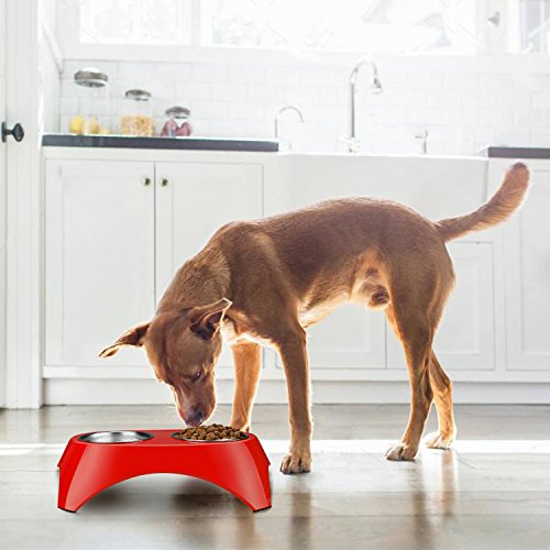 Flexzion Pet Feeder Bowls Double Stainless Steel (Set of 2) - Removable Raised Feeding Station Tray Dog Cat Puppies Animal Food Water Holder Container Dish Table Dinner Set with Elevated Stand (Red)