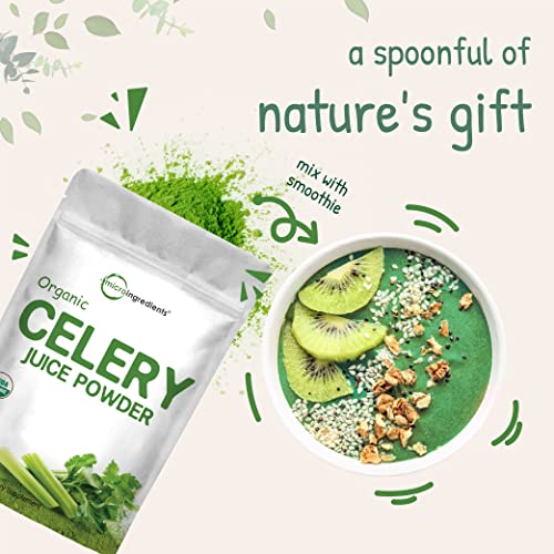 Organic Celery Juice Powder, 20 Ounce (1.25 Pound), 71 Serving, Celery