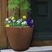 Southern Patio 20