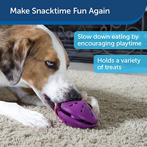 PetSafe Busy Buddy Twist 'n Treat Dispensing Dog Toy - Medium,Purple,Large Breeds