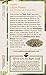 Traditional Medicinals Organic Linden Flower with Hawthorn & Lemon Balm Herbal Leaf Tea, 16 Tea Bags (Pack of 1)