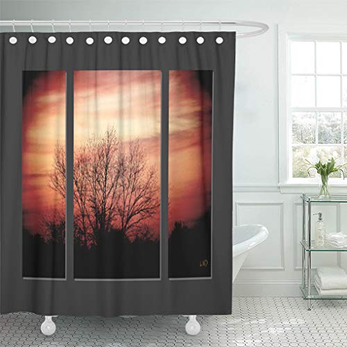 Semtomn Shower Curtain Tree Sunset Birch Triptych Dramatic