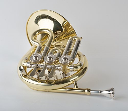Tempest Agility Winds Mini Pocket French Horn in Bb 3 Rotary Valves Engraved Lacquered Brass with Case and Mouthpiece 5-Year Warranty