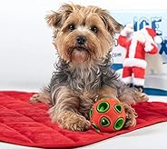 BoxDog - Monthly Dog Subscription Box with 100% Handmade Treats & 2 Dog Toys: Small Dog &