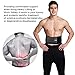 Cotill Back Brace Lumbar Lower Belt Brace and 8 Stable Splints Support with Dual Adjustable Straps and Breathable Mesh Panels for Back Pain and Stress Relief (L/XL)