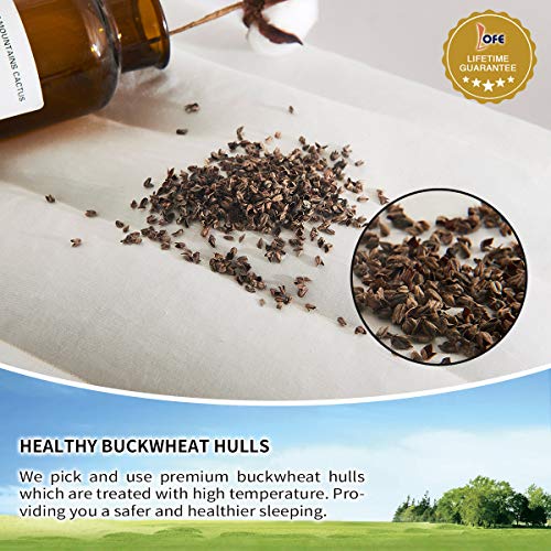 Lofe Buckwheat Pillow for Sleeping, Organic Cotton Shell, Adjustable Loft, Japanese Size(14x20), Breathable for Cool Sleep, Cervical Support for Back and Side Sleepers