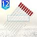 12PCS Glass Transfer Pipettes