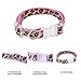PAWZ Road Leopard Pet Leash Collar Harness Set Pink M
