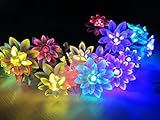 M&T TECH 16.4ft 20 LED Outdoor String Lights Solar Powered with 20 Double Lotus Flower For Patio, Garden,Party, Lawn, Wedding(Multi color)