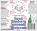 Organic Deodorant Sweet Blueberry Lemonade Healthy Botanically Infused Ingredients 2.5 oz.