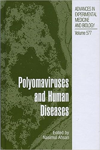Polyomaviruses and Human Diseases-Wow! eBook