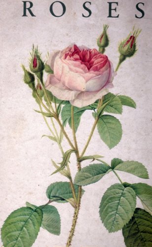P.-J. Redoute roses by (Hardcover)
