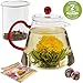 Teabloom Amore Glass Teapot Stovetop Safe Teapot with Removable Infuser (34 OZ) Two Blooming Tea Flowers Included
