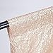 Champagne 4ft x 6ft Sequin Backdrop Photography Background Photo Booth Fabric Backdrop Curtain for Wedding Party Decoration