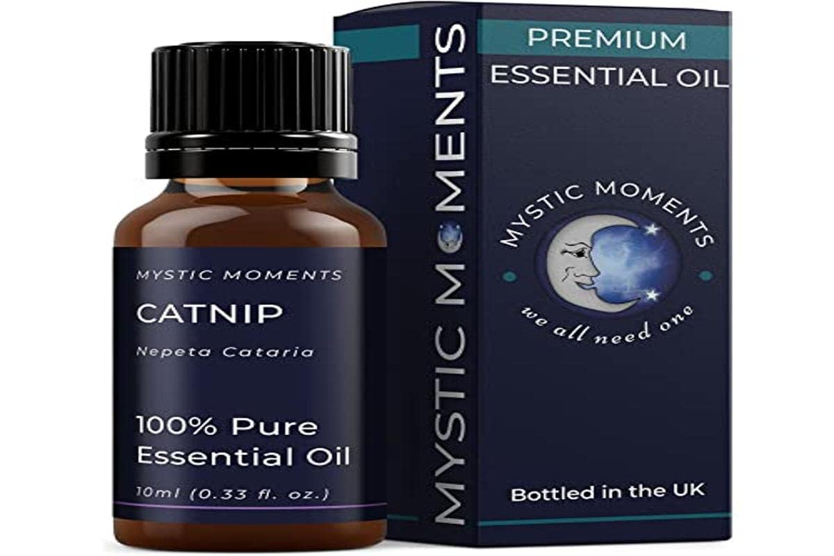 Mystic Moments | Catnip Essential Oil 10ml Pure & Natural | Nepeta cataria | Herbal Aromatherapy & Diffuser Oil | Fresh Green Earthy Aroma
