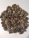 Large Bag of Weathered Small Pinecones - Perfect