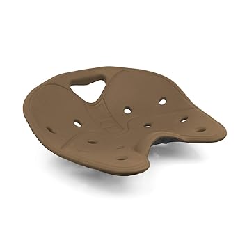 Backjoy Posture Plus Orthopedic Seat Cushion For Lower Back Pain Back Pain Cushion For Adults