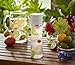 Thermos Sipp 22 Ounce Tritan Hydration Bottle, WhiteHydration Bottle
