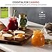 Bormioli Rocco Quattro Stagioni Small Glass Mason Jars 5 Ounce Mini Jars (6-Pack) with Metal Airtight Lid, For Jam, Jelly, baby food, Crafts, Spices, Dry Food Storage, Wedding favors, Decorating Jar