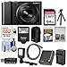 Panasonic Lumix DMC-ZS100 4K Wi-Fi Digital Camera (Black) with 64GB Card + Battery & Charger + Case + Flash + LED Light & Bracket + Flex Tripod Kit