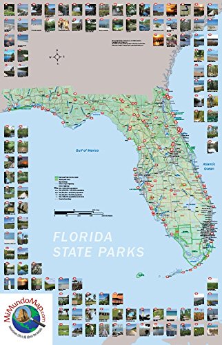 Amazon Com Mi Mundo Florida Map Office Products