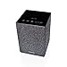 Toshiba TY-GC1000 High Resolution Google Cast Wireless Bluetooth Audio Speaker, Dual 2.5 Driver, Aux Input, and AC/DC Adapter