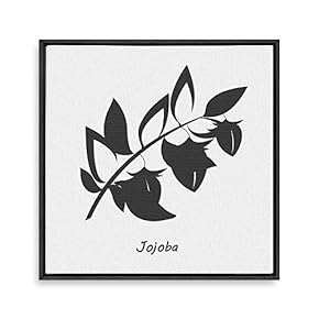 Framed Canvas Wall Art for Living Room, Bedroom Nordic Style Plants Theme Canvas Prints for Home Decoration Ready to Hang - 16x16 inches