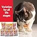 Hartz Delectables Stew Senior Lickable Wet Cat Treats, Multiple Flavors 1.4 Ounce (Pack of 12)