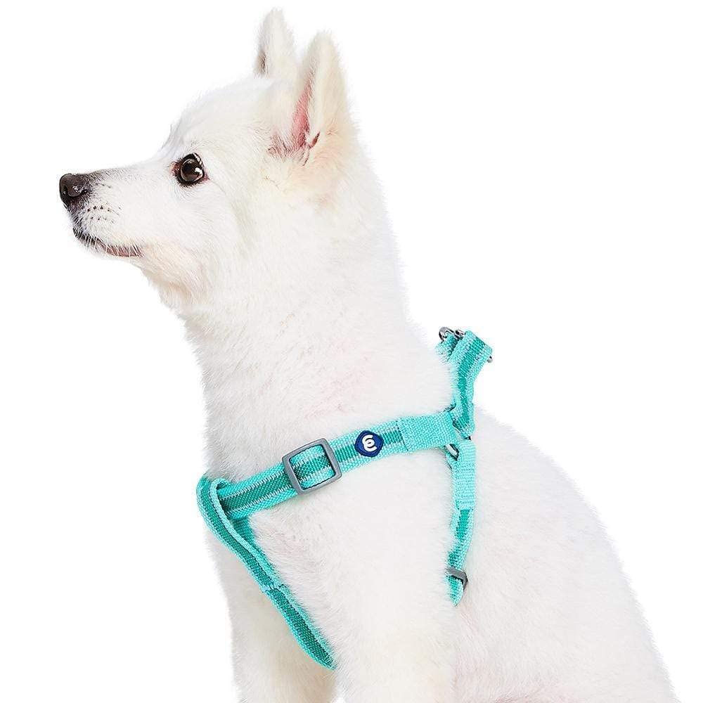 Blueberry Pet Essentials Step-in Reflective Back to