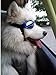 Pet Dog Sunglasses Water-Proof Multi-Color Protection Goggles Updated Version (D)