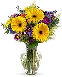 Benchmark Bouquets Flowering Fields, With Vase (Fresh Cut Flowers)
