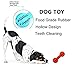 Bone Shape Dog Dental Toy Slow Eat Free BPA Rubber 2 Pack Playing Toy Balls for Dog