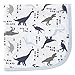 Touched by Nature Organic Receiving Blanket, Dino, One Size