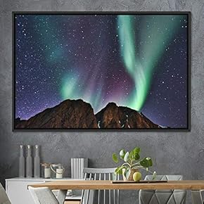 signwin Framed Canvas Wall Art Dayspring Astronomy &...