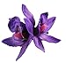 Floral Fall Hula Girl Hawaiian Orchid Flower Hair Clip for Beach HC-11