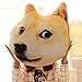 Mkono Decorative Throw Pillow 3D Akita Doge Dog Head Cartoon Plush Pillow Funny Christmas Birthday Gift Idear Lovely Animal Stuffed Toys