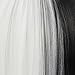 WeKen Halloween Wig Women Short Bob Kinky Straight Full Bangs Synthetic Black and White