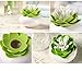 Peicees Lotus Cotton Swab Holder Q-tips Toothpicks Storage Organizer Green