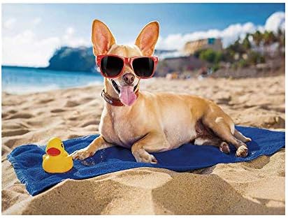 Amazon Co Jp 面白い写真背景 猫と犬 家 ペット 友人 かわいい 陽気な表現 スカイクラウド コラージュ スタジオ用背景 5x3フィート カメラ