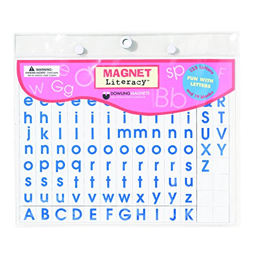 Dowling Magnets DO-733003 Wonder Board Fun-with-Letters, 0.13" Height, 11.25" Wide, 12.5" Length (144 Pieces)