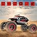 RC Car, NQD 1:16 Dual Motors Remote Control Truck, 2.4Ghz 4WD Off Road Remote Control Car with Two Rechargeable Batteries, Buggy Hobby Toy for Kids & Adults