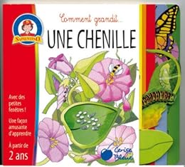 Une  chenille
