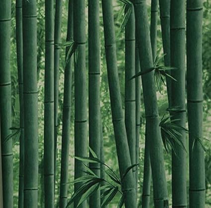 Eurotex Bamboo Design Square Vinyl Coated Wallpaper (50.01 cm x 10 cm x 10 cm, Green)