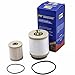 iFJF FD4616 Fuel Filter Lower Lifter Pump Filter and Upper Fuel Bowl Filter Replacement for 6.0L V8 Super Duty F250 F350 F450 F550 2003-2007 Excursion 2003-2005 Replaces 3C3Z9N184CB B07BXW1321