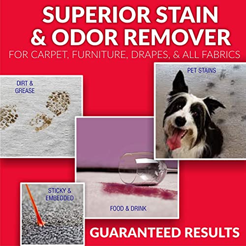 ZORBX Extra Strength Carpet Spot Cleaner and Odor Remover a Carpet