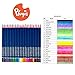 Pluqis Premium Art Quality Colored Pencils, Set of 24 Colors, Pre-Sharpened, Artist Grade Pigments for College Students, School Supplies and Adult Coloring Books