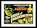 The Art Stop Movie Film Sequel Bride Frankenstein Karloff Whale Horror Framed Print F97X4132