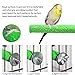 QMSKI 4 PCS Bird Perch Stand Toy, Wood Parrot Perch Stand Platform Paw Grinding Stick Rough Sand Wood Perch Parrot Cage Accessoriesthumb 2