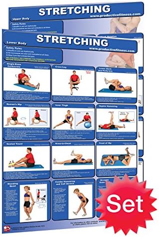 Stretching Poster Set of 2 Laminated Poster/Charts; How to Stretch - Improve Flexibility - Range of Motion - Full Body Stretching - Relieve Back Pain - Stretching for Beginners